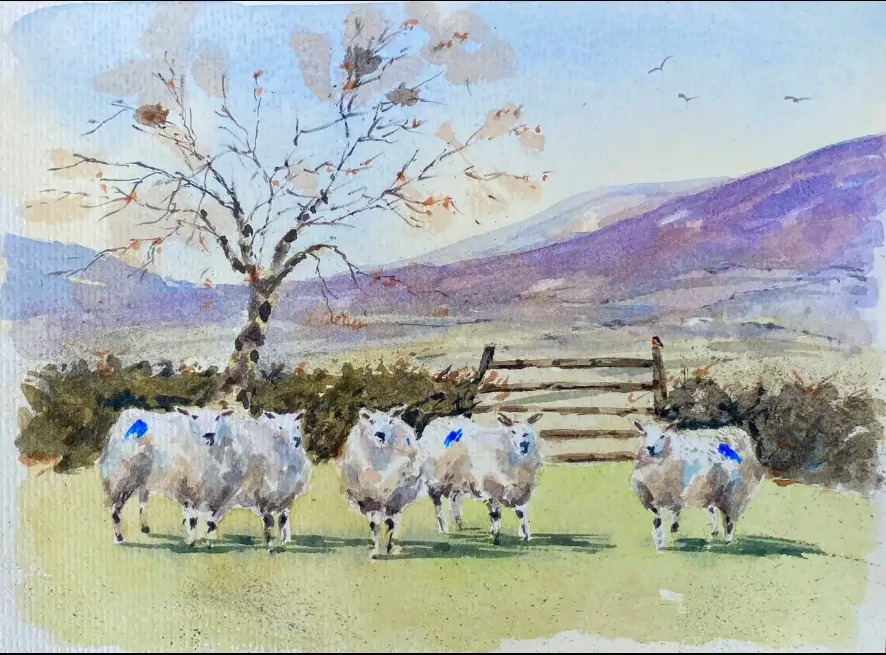 Sheep at Glassdrumman — Watercolour on paper by Stephen Rooney