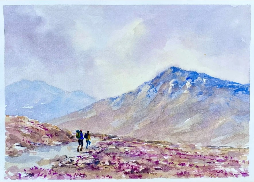Purple Heather at Hare’s Gap — Watercolour on paper by Stephen Rooney