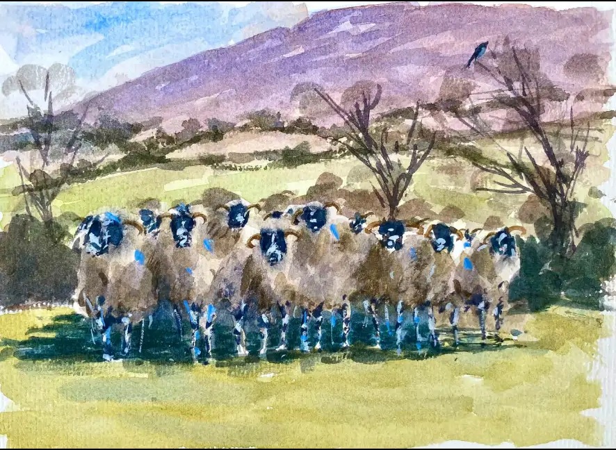 Mourne Flock — Watercolour on paper by Stephen Rooney
