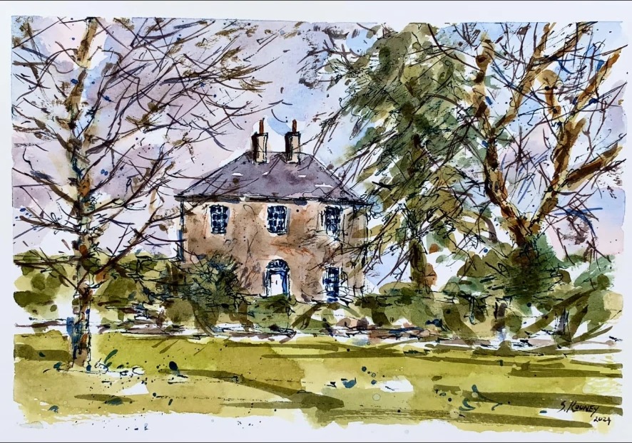 February Trees, Seaforde, County Down — Pen & watercolour · 2024 by Stephen Rooney